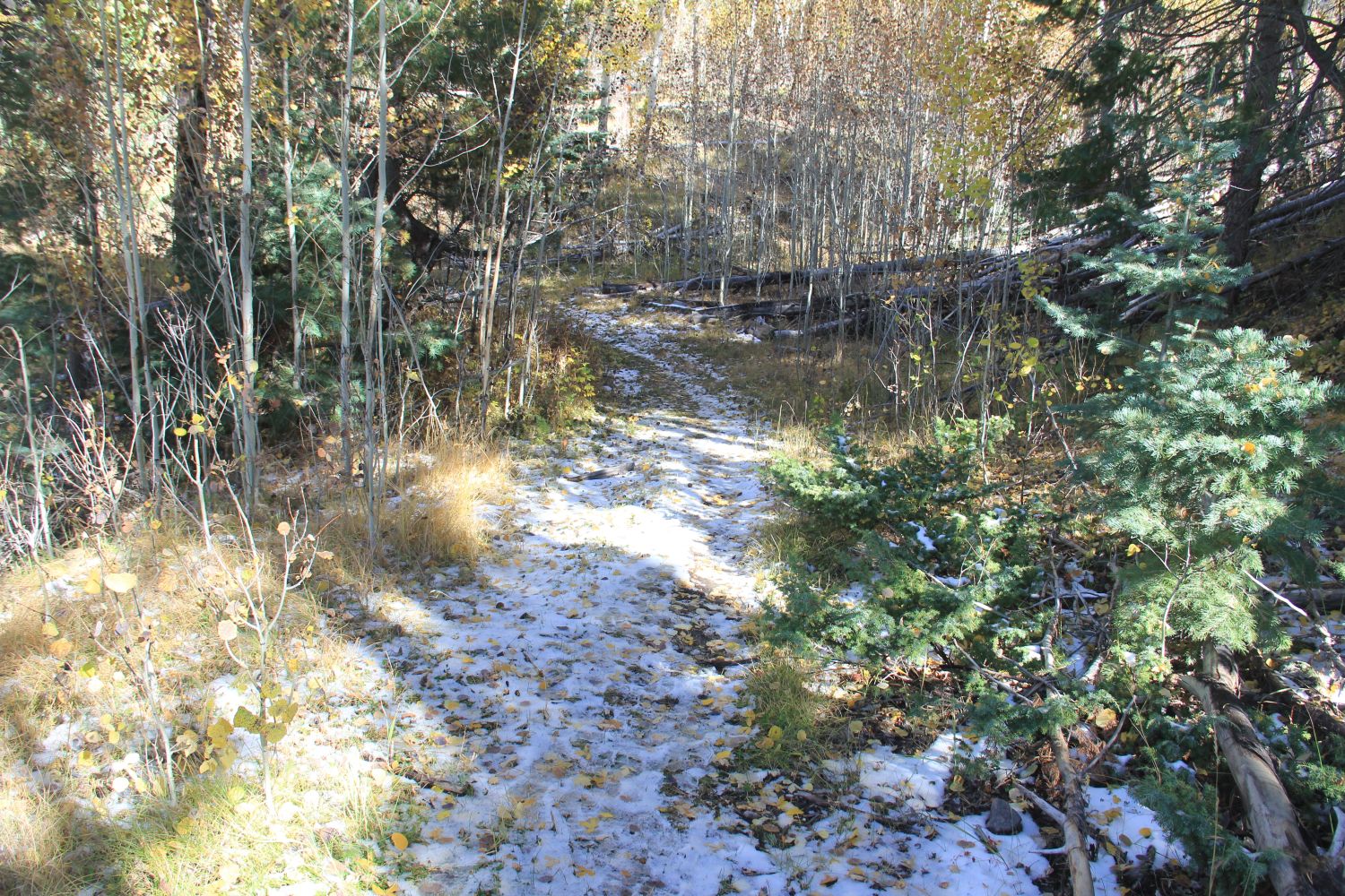 Valles Caldera National Preserve 